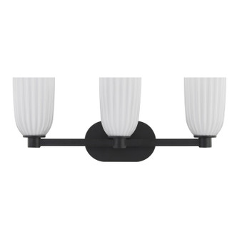 Baldwin Three Light Bathroom Vanity (8-1245-3-BK)