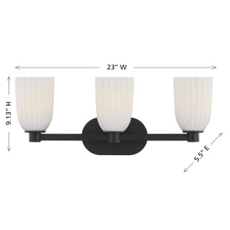 Baldwin Three Light Bathroom Vanity (8-1245-3-BK)