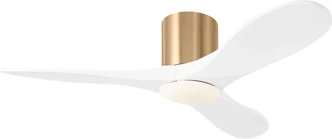 manufacturer_finish:Burnished Brass/Matte White