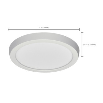LED Fixture (62-1733)