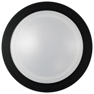 LED Disk Light (62-1804)