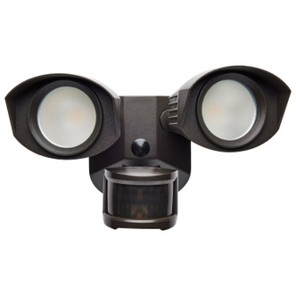 LED Dual Head Security Light (65-219)