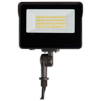 LED Flood Light (65-541)