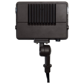 LED Flood Light (65-541)