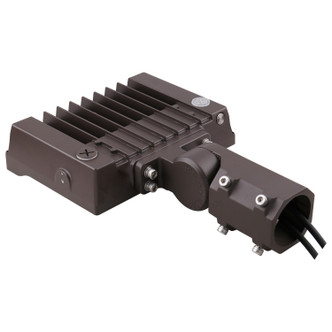 LED Flood Light (65-542)