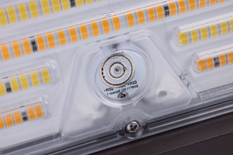 LED Full Cutoff Wall Pack (65-555)