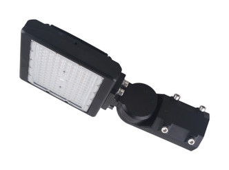LED Flood Light (65-618)