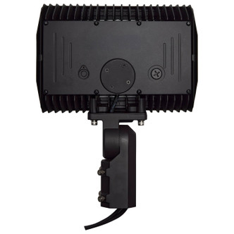 LED Flood Light (65-620R1)