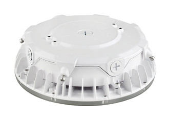 LED Canopy Fixture (65-623)