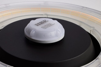 LED Canopy Fixture (65-626R1)