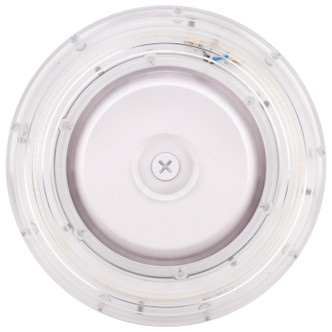 LED Canopy Fixture (65-629R1)