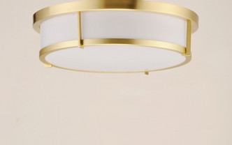 Rogue LED LED Flush Mount (10274WTSBR)