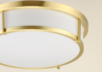 Rogue LED LED Flush Mount (10274WTSBR)