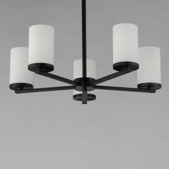 Lateral Five Light Chandelier (10286SWBK)