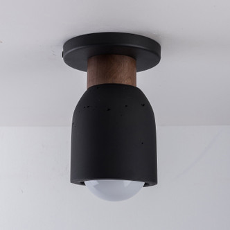 Pompeii One Light Flush Mount (10629LVBK)