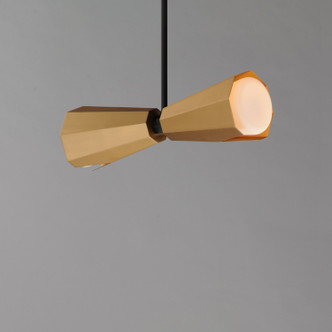 Rizzo Two Light Pendant (10812SWBKAB)