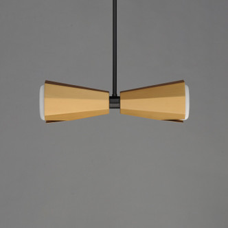 Rizzo Two Light Pendant (10812SWBKAB)