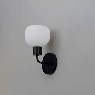 Coraline One Light Wall Sconce (11271SWBK)