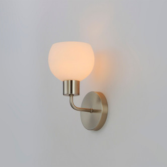 Coraline One Light Wall Sconce (11271SWSN)
