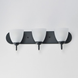 Axis Three Light Bath Vanity (11383FTBK)