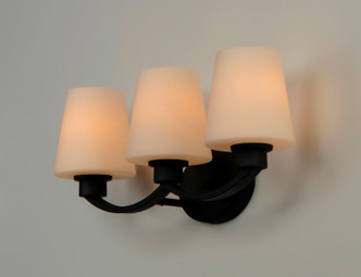 Shelter Three Light Bath Vanity (11833SWBK)