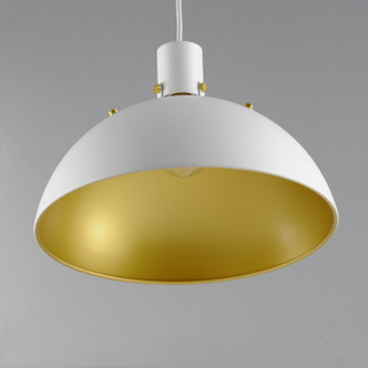 Dawn One Light Pendant (12045WTSBR)