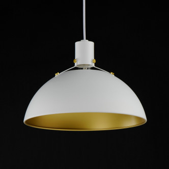 Dawn One Light Pendant (12045WTSBR)