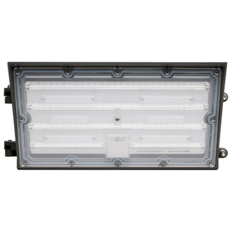 LED Wall Pack (65-675)