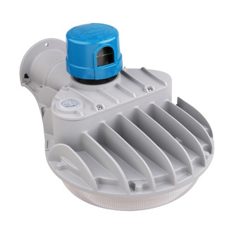 LED Area Light (65-683)