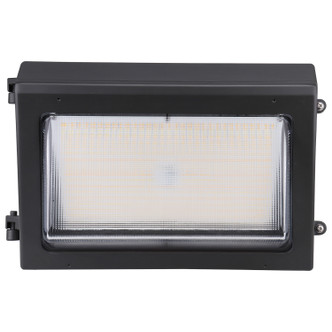 LED Wall Pack (65-754)