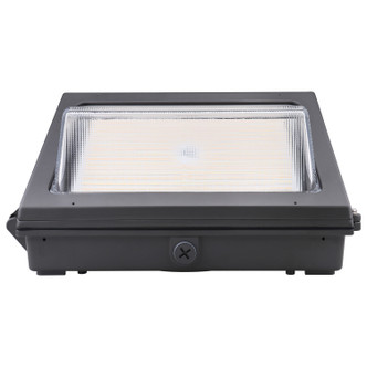 LED Wall Pack (65-754)
