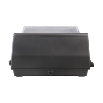 LED Wall Pack (65-758)