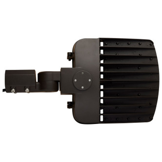 LED Area Light (65-845-4)