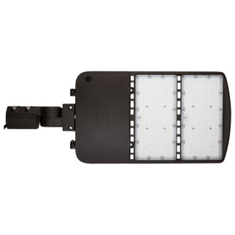 LED Area Light (65-849-4)