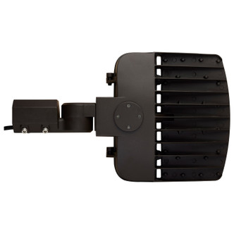 LED Area Light (65-860-4)