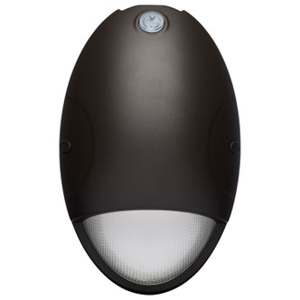 LED Wall Pack (65-880)