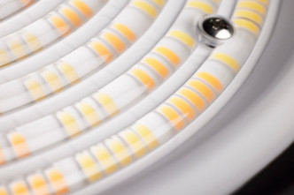 LED Post Top (65-893)