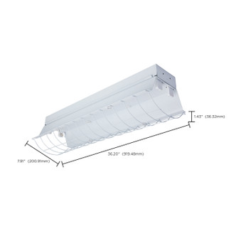 3' Cambered Protective Cage (65-917)