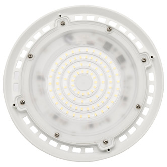 LED UFO w/Plug (65-972)
