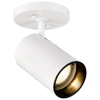 One Light Flush Mount (SF76-412)