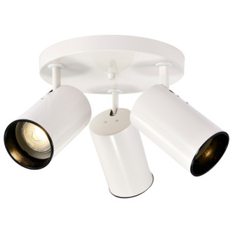 Three Light Flush Mount (SF76-416)