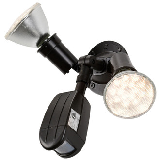 Two Light Floodlight (SF76-503)