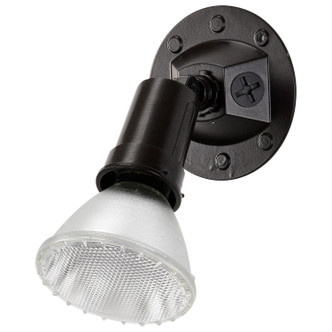 One Light Floodlight (SF76-521)