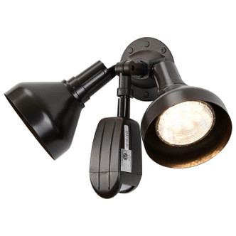 Two Light Floodlight (SF76-531)