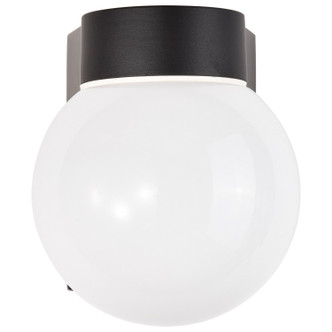 One Light Wall Lantern (SF77-140)