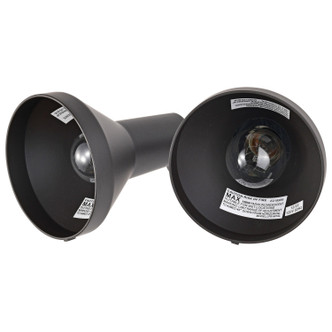Two Light Floodlight (SF77-495)