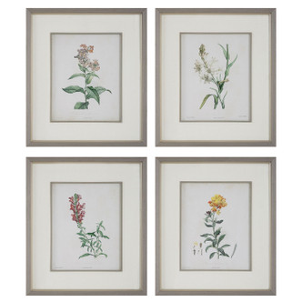 Uttermost - 32285 - Framed Prints Set/4 - Heirloom Blooms - Gray