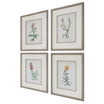 Heirloom Blooms Framed Prints Set/4 (32285)