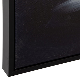 Peony Wall Art (32445)