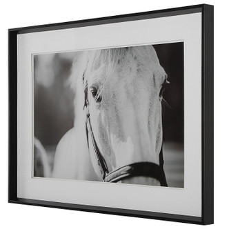 Eyes On The Prize Framed Print (41464)